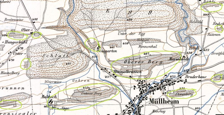 Karte 1890_geoadmin_Rebberge