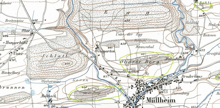 Karte 1910_geoadmin_Rebberge